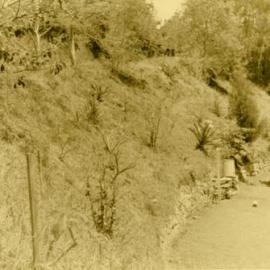 Driveway, 'Driftwood', Morwong Drive, Noosa Heads, 24 October 1967