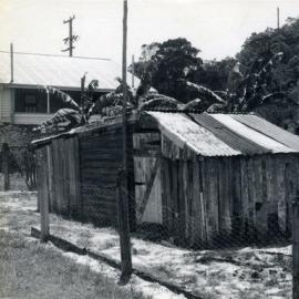 Ernie Greber's fowl and main house, Hastings Street, Noosa Heads, 24 October 1972