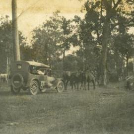 Different kinds of horse power, ca 1920s