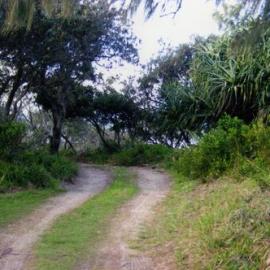Driving track to Teewah Beach, ca 2011