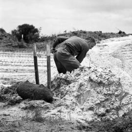 Digging for unexploded ordnance, Major David Luke, Sunshine Beach, November 1972