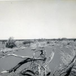 Red Sandhills, Evendorah, 27 September 1970
