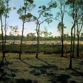 Land development, Weyba Creek,  Noosaville,  23 August 1972
