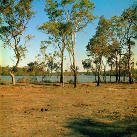 Land development, Weyba Creek,  Noosaville,  23 August 1972