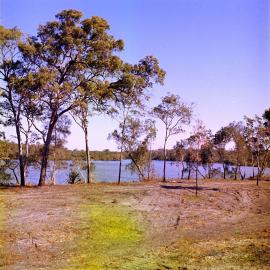 Land development, Weyba Creek, Noosaville, 23 August 1972