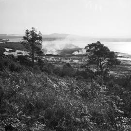 Land clearing, Noosa Heads, September 1972