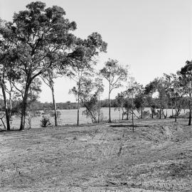 Land development, Weyba Creek,  Noosaville,  23 August 1972