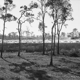 Land development, Weyba Creek,  Noosaville,  23 August 1972