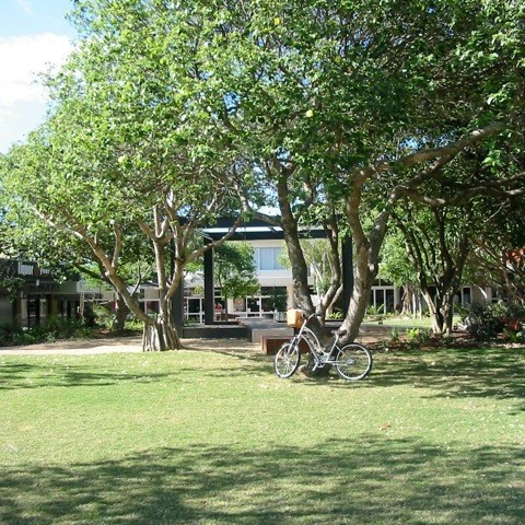 Peregian Village Square